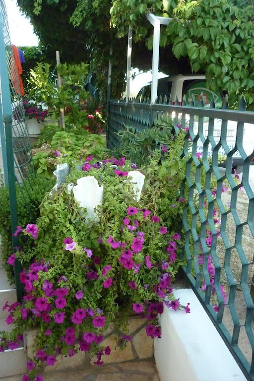 Apartment Boja Biograd Na Moru Ngoại thất bức ảnh